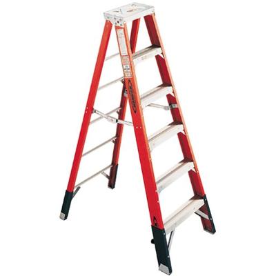 Werner 7410 Ladder 10-Foot