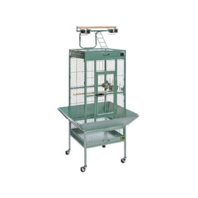 Prevue 3151 Signature Series Select Wrought Iron Cage Sage